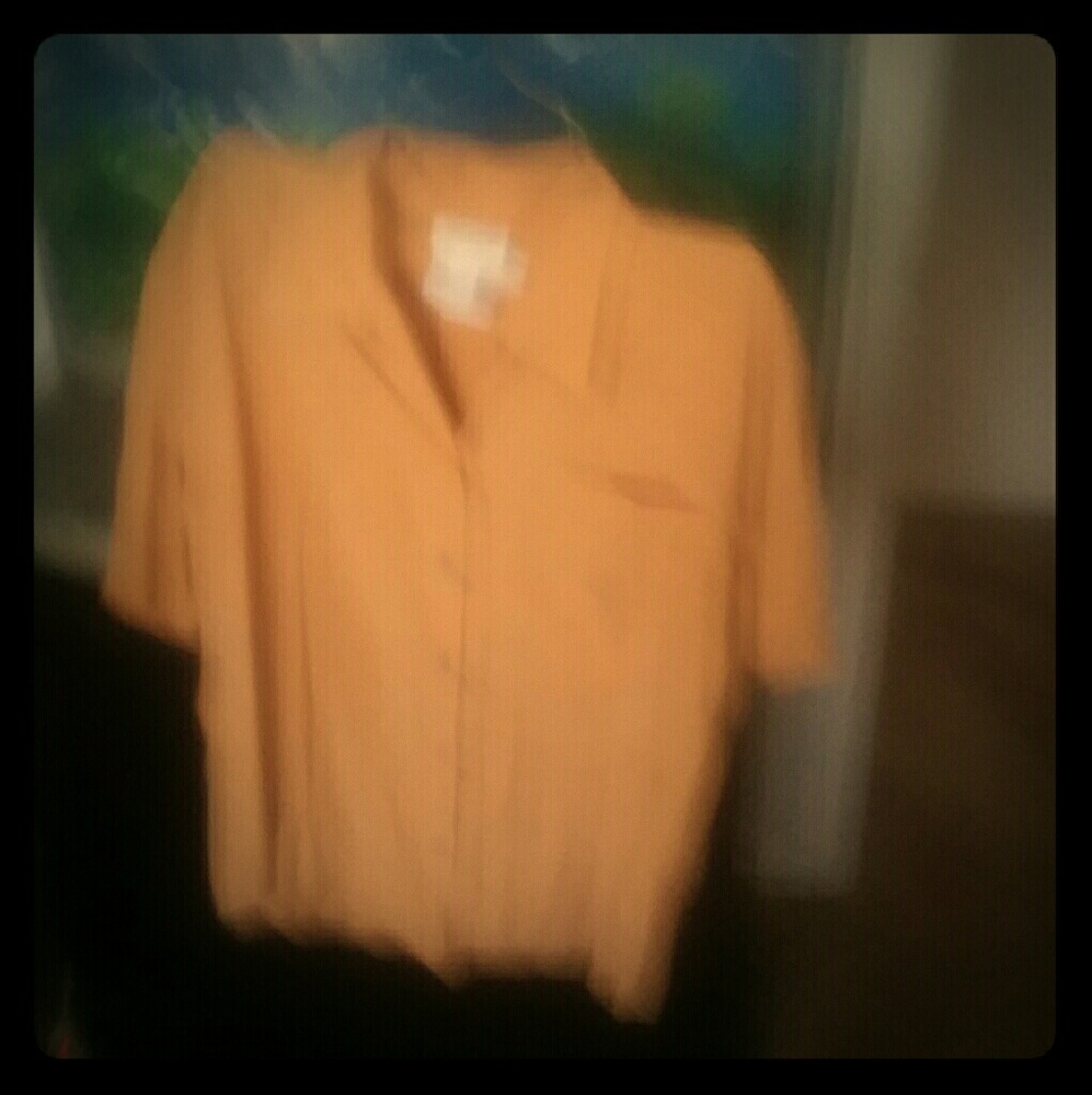 Short Sleeve  Silk blouse